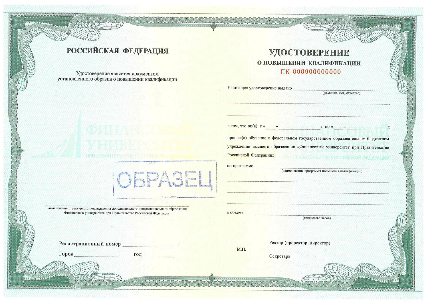 Документ, который Вы получите